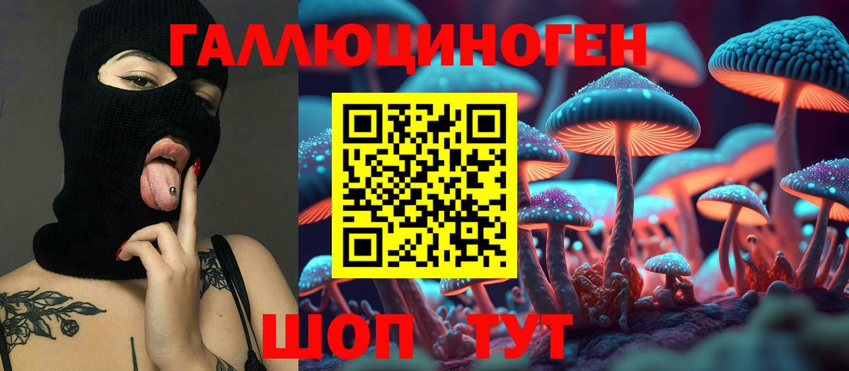 Галлюциногенные грибы Cubensis Рославль